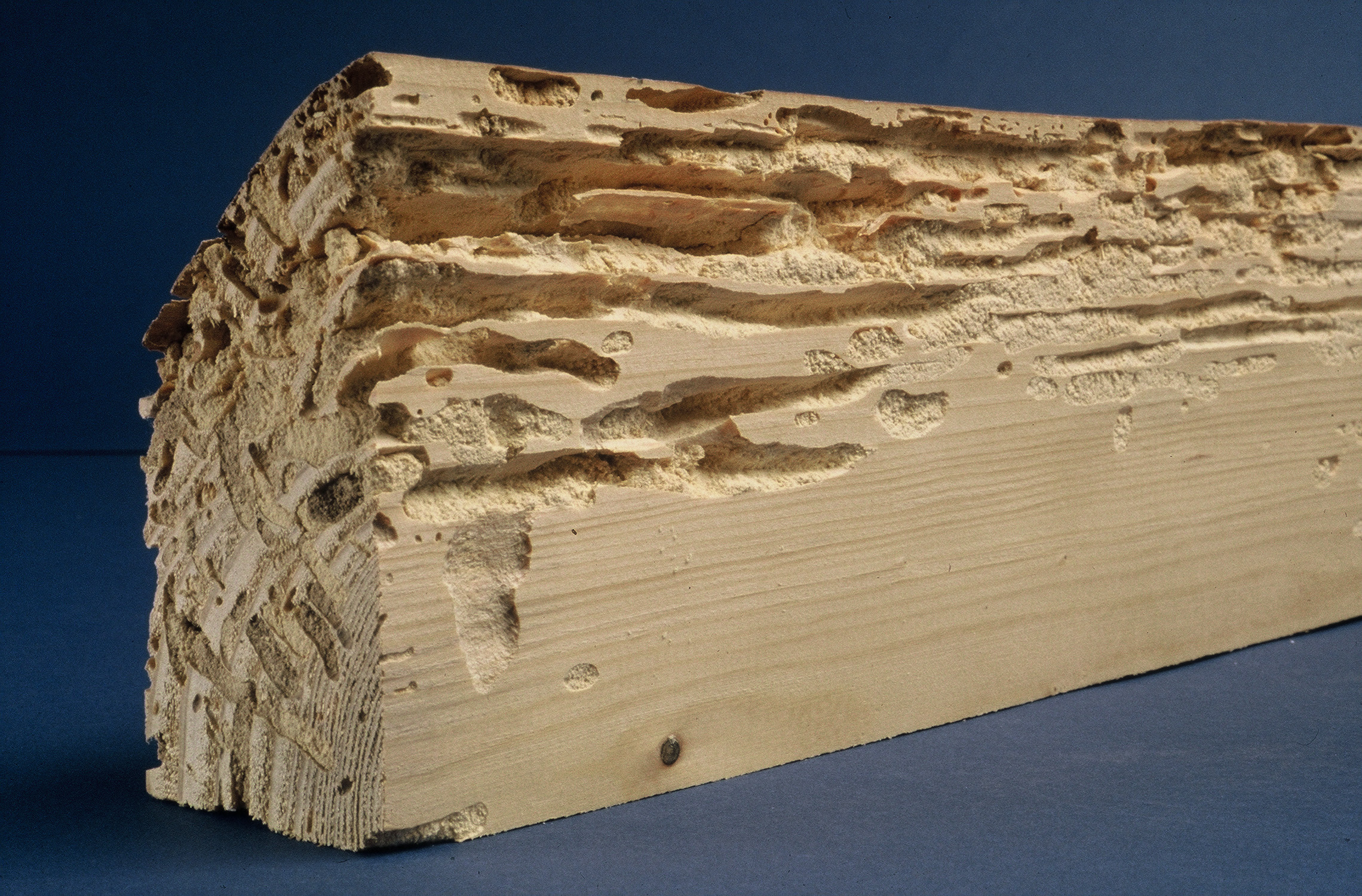 Traitement de charpente, bois à Bar-le-Duc